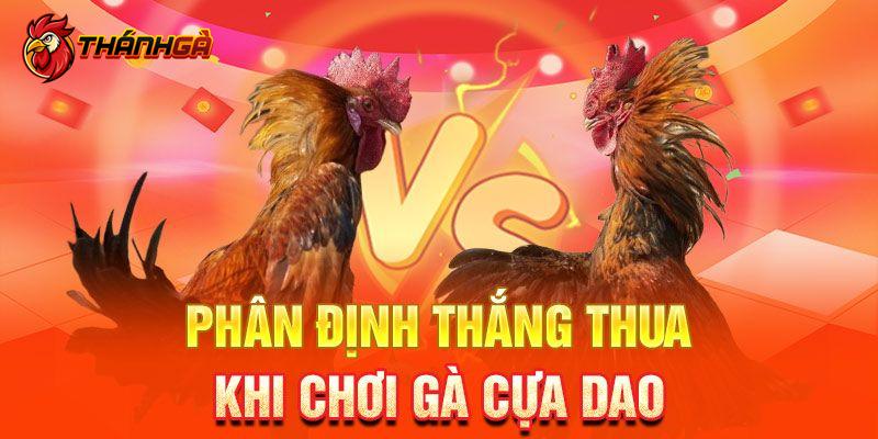 Một số kinh nghiệm giúp bạn chọn chiến kê bất bại trong trận đấu